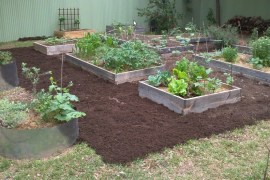 Raised-Bed-Gardening