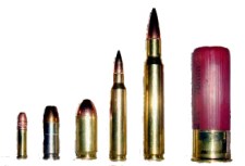 L to R: .22 LR, 9mm, .45 ACP, .223 / 5.56 mm, .30-06, 12-gauge shotshell