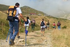 1-Bug-Out_Team-Walking